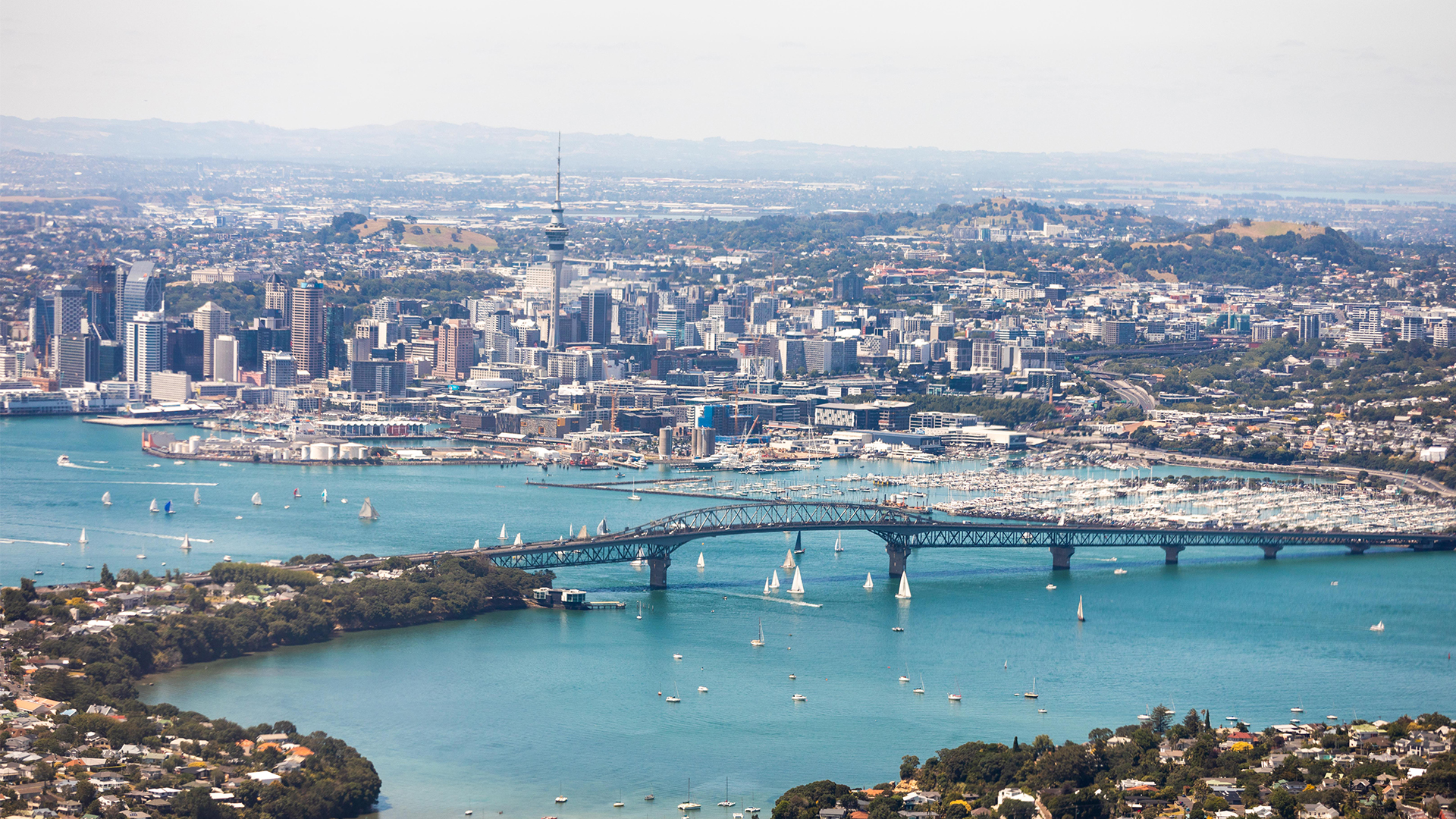 Self-Drive Day Trips From Auckland