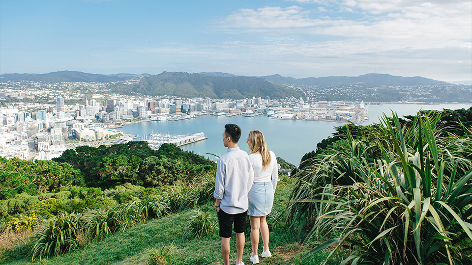Self-Drive Day Trips From Wellington | Enterprise