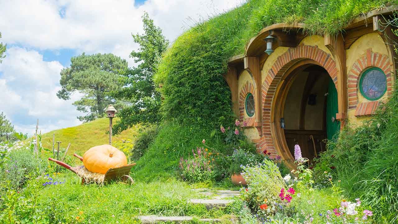 Auckland to Hobbiton