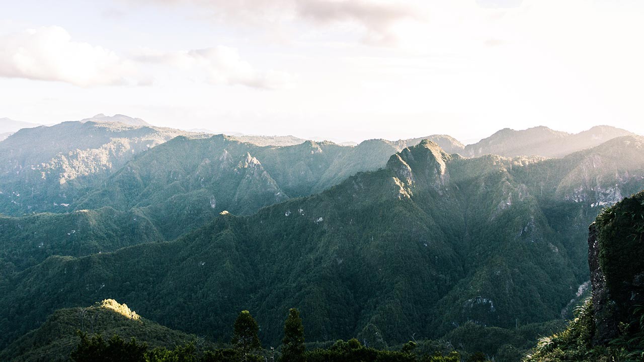 The rugged mountain ranges of the Coromandel