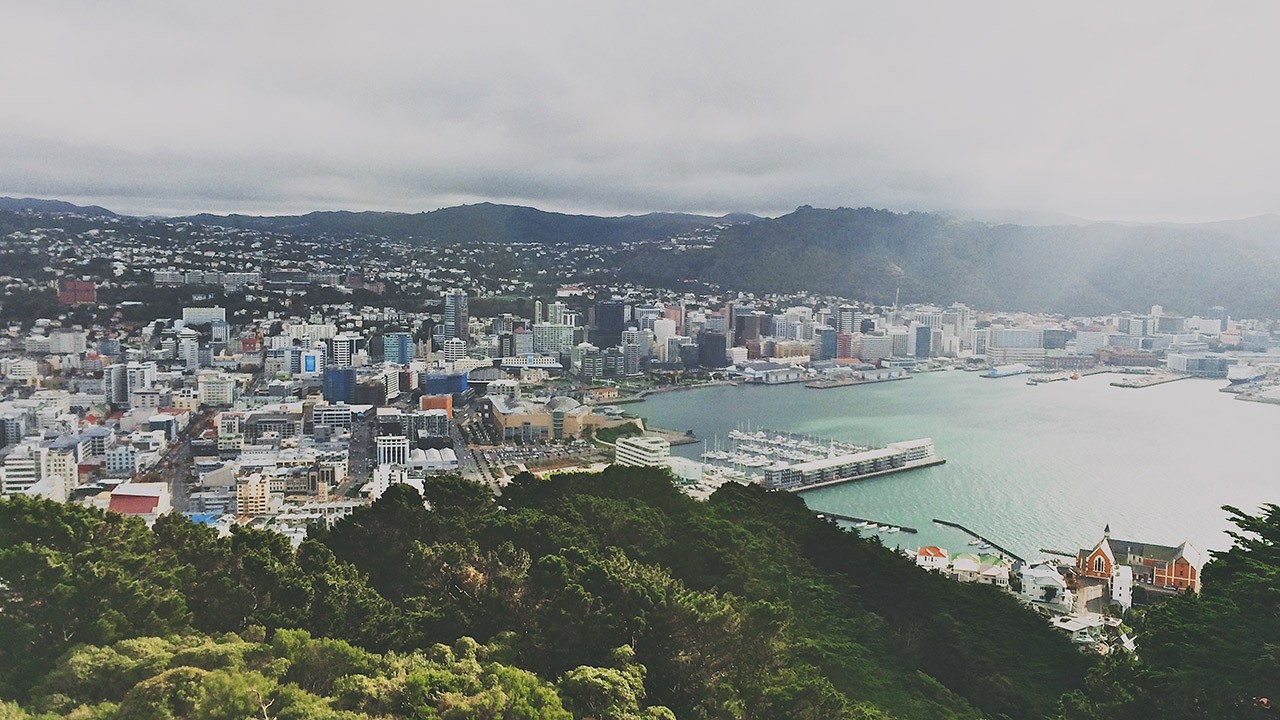 Wellington cityscape from the top of a hill