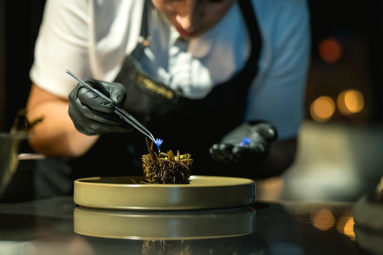 A chef delicately preparing the presentation of their dish