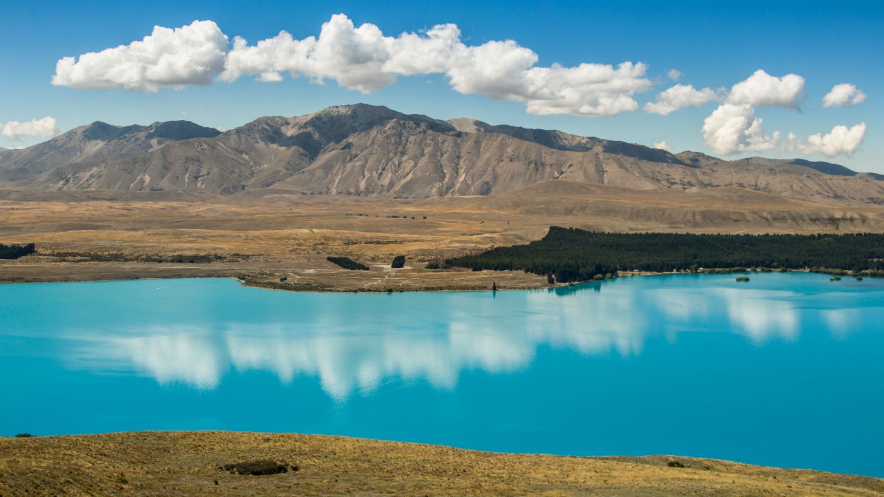 Daintree National Park