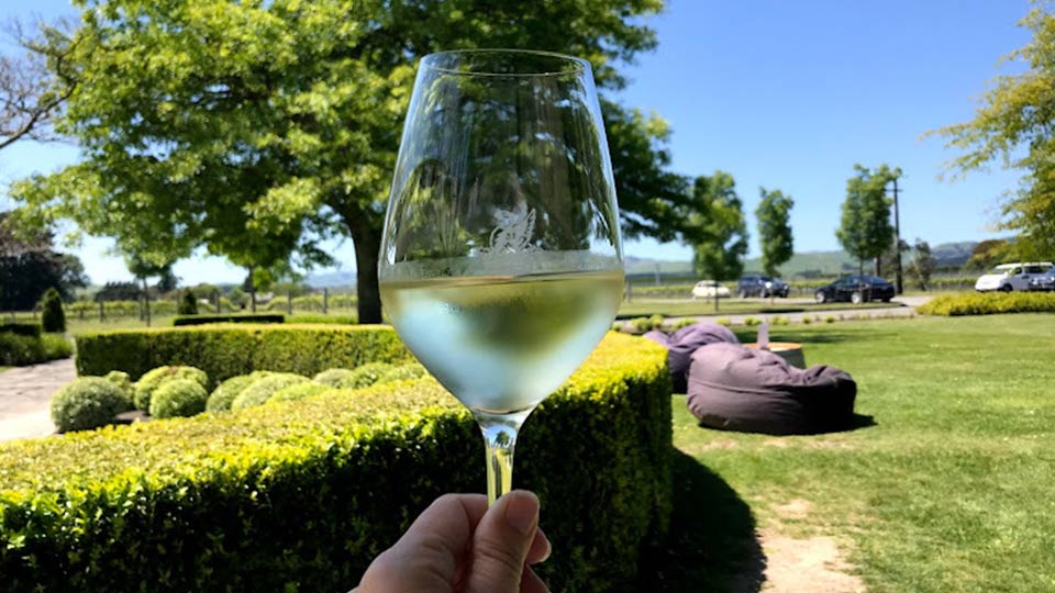 A glass of white wine held up with the winery in the background