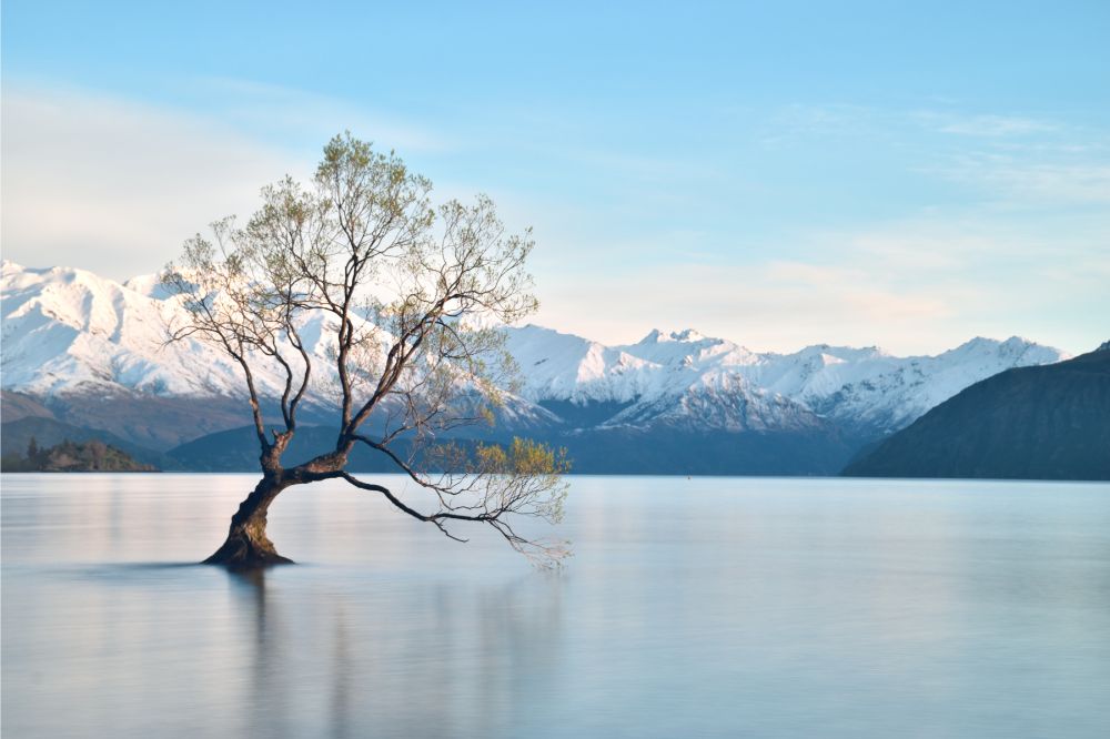Wanaka