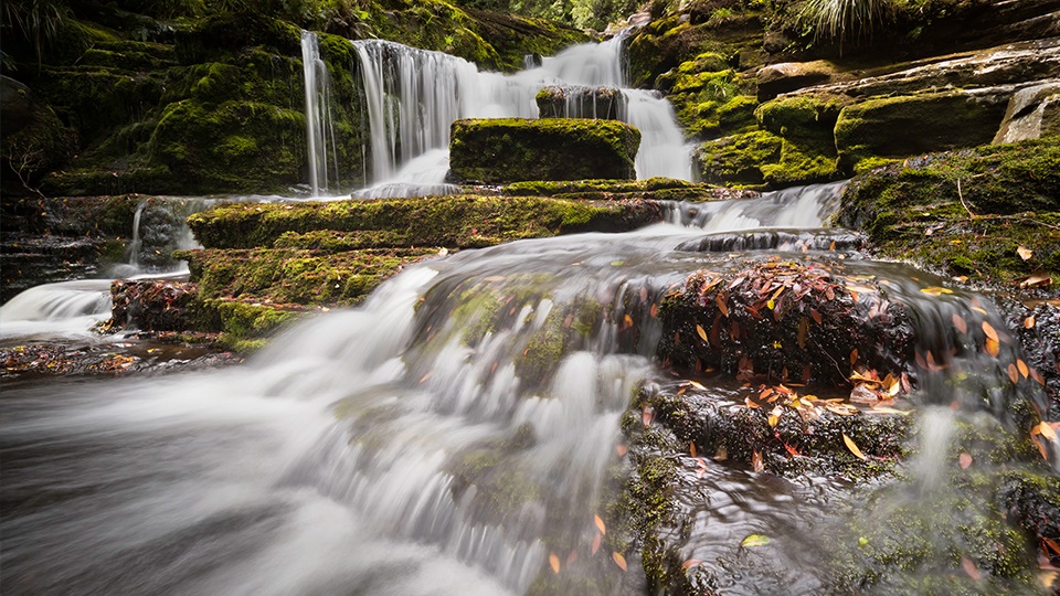 DO go chasing Catlins Waterfalls