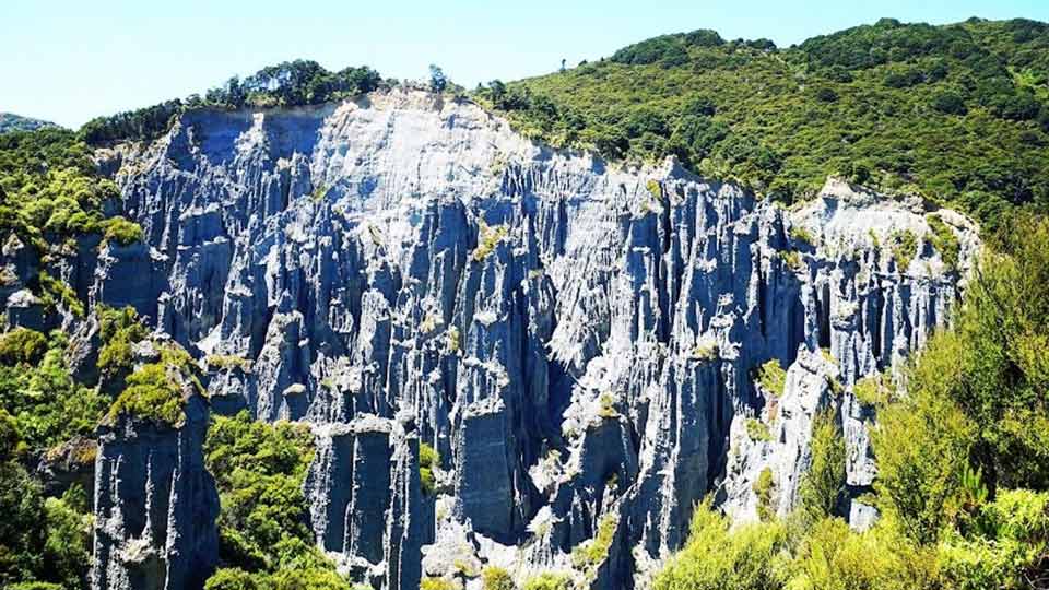 The eroded cliff face of Putangirua Pinnacles surrounded by luscious forest
