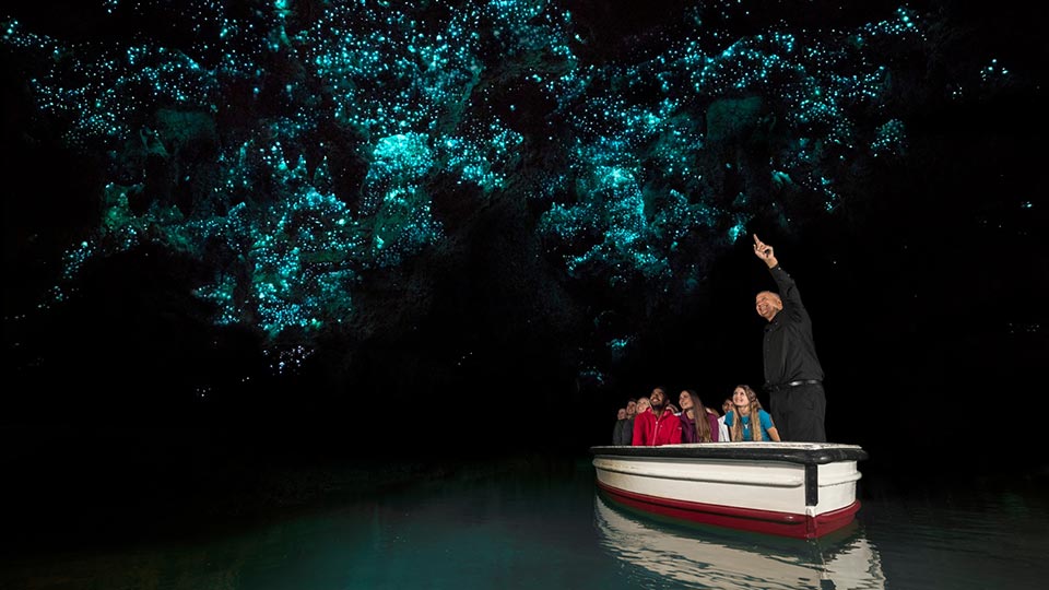 A tour guide pointing up to the blue glow worms while his group in a white and red boat look up in awe