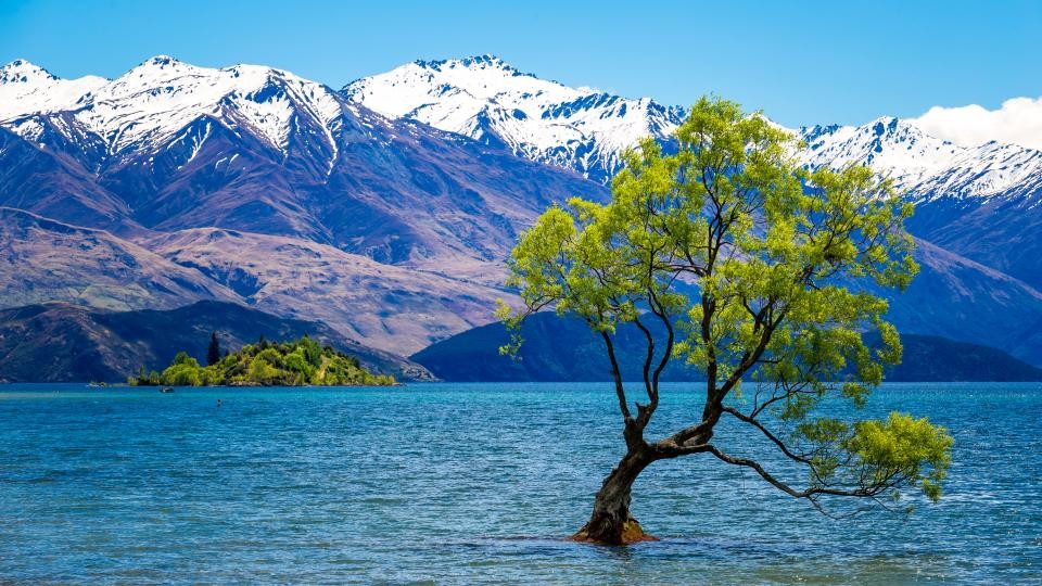 Wanaka