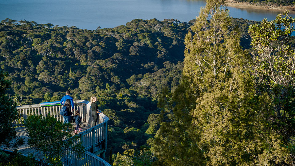 Waitakere Ranges
