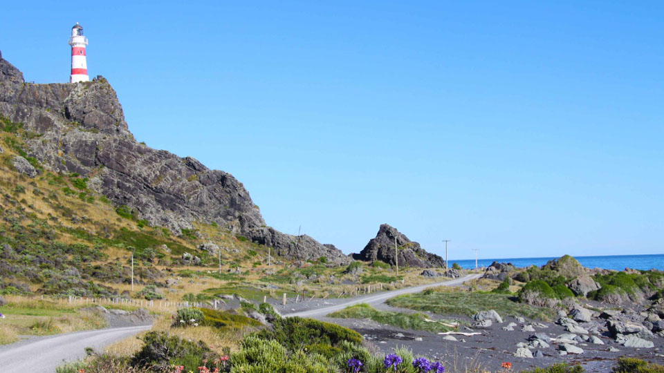 Cape Palliser