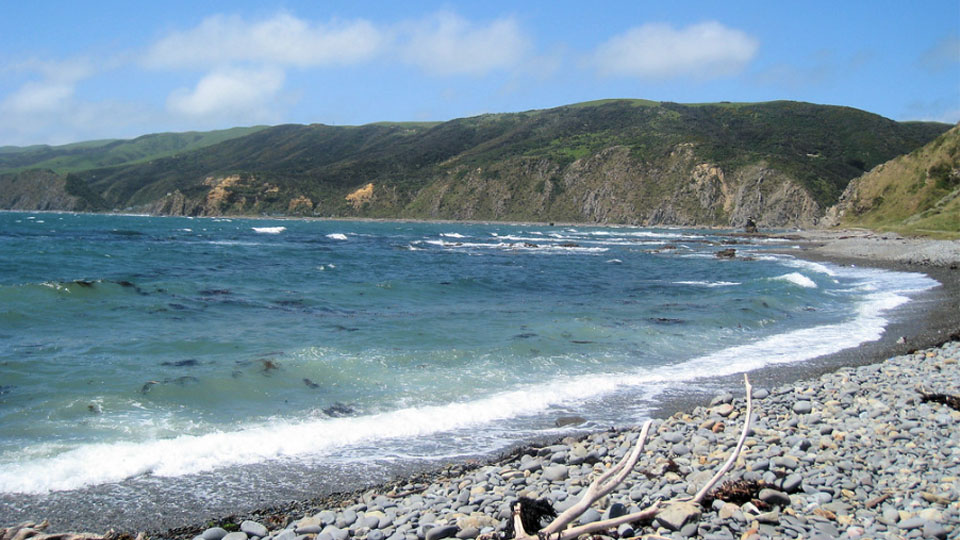 Makara Beach